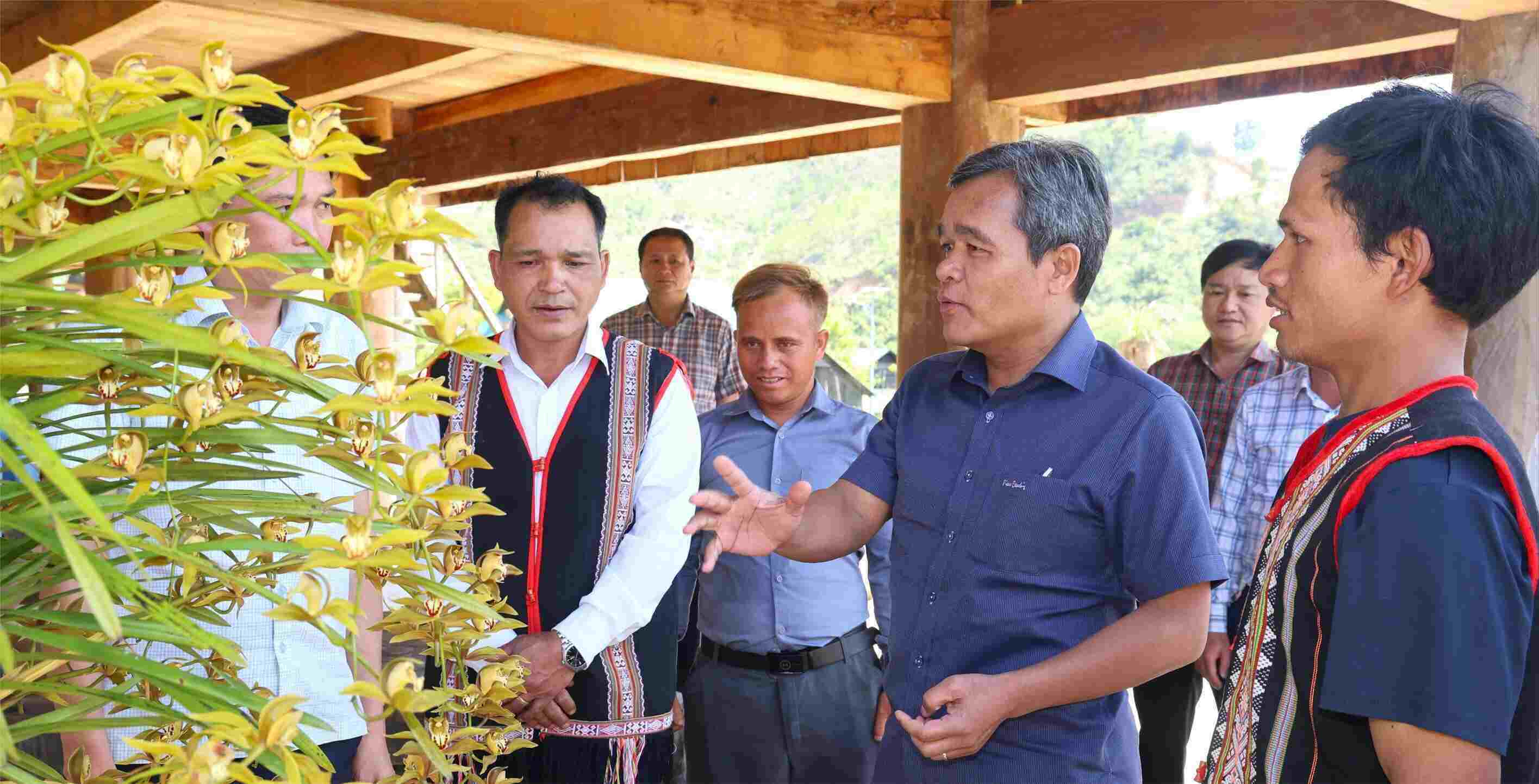 Địa lan góp phần phát triển du lịch cộng đồng, nâng cao thu nhập cho người dân Vi Rơ Ngheo. Ảnh: Ngọc Đức