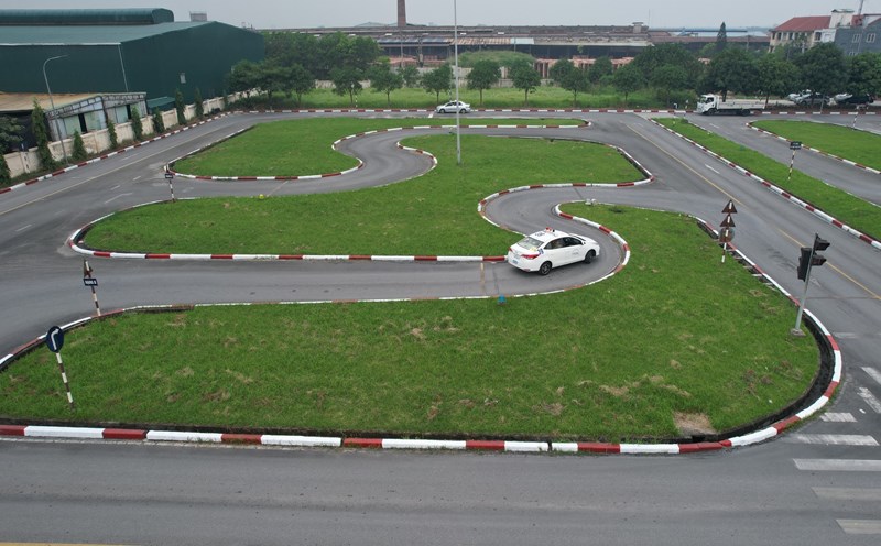 Cases of revocation of driving practice licenses