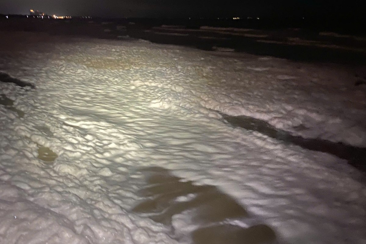 Image of Vung Tau sea floating white foam due to the influence of microalgae. Photo: Minh Phuc