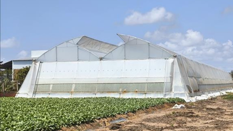 Người dân sản xuất lưới trong nhà kín bên trong khu vực kè chống sạt lở. Ảnh: Hoàng Lộc