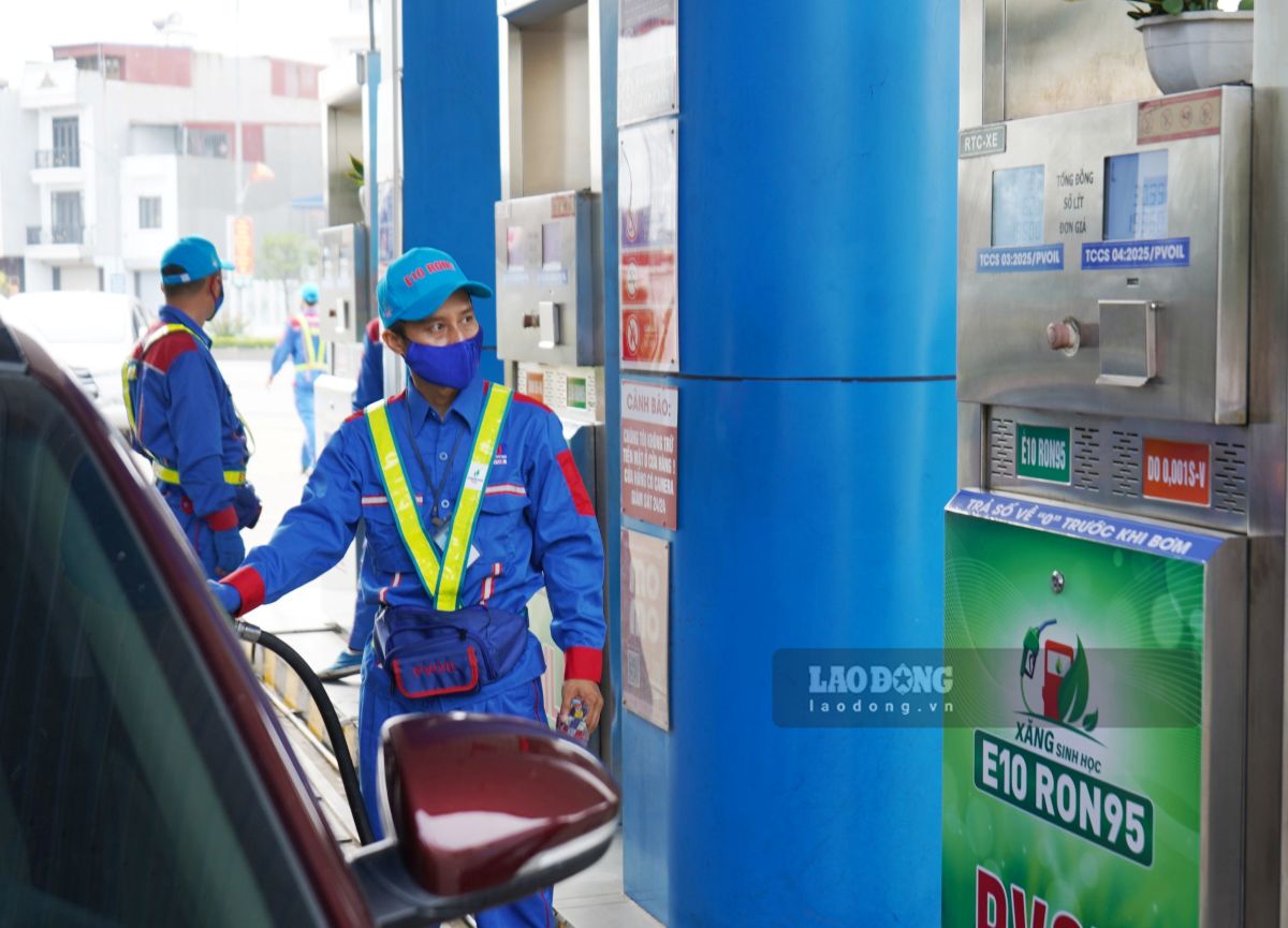 E10 바이오 휘발유 원료 지역 준비를 위한 토지 기금 검토