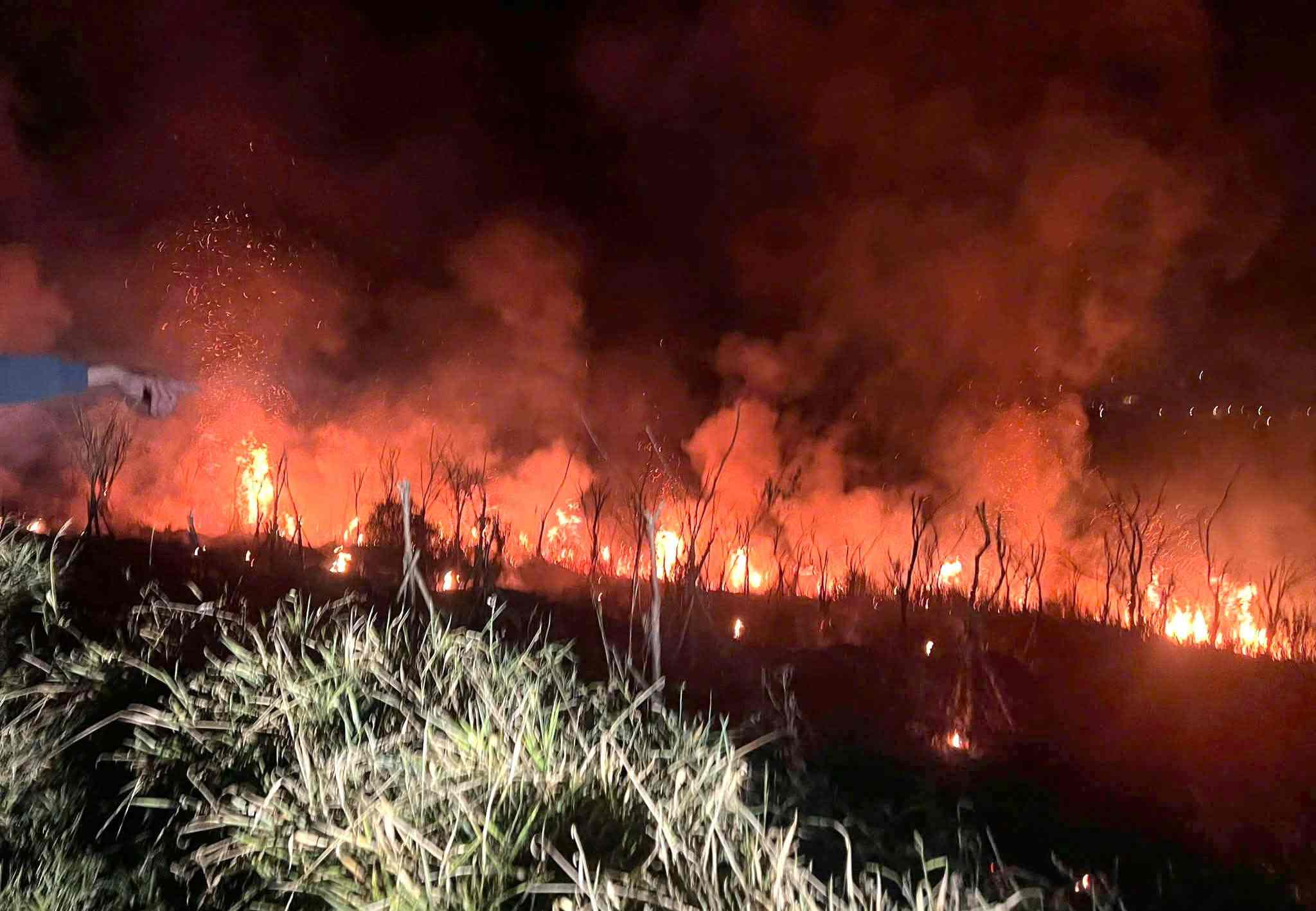 The fire at Cau Dat tea hill occurred on the night of April 5. Photo: Nguyen Quan