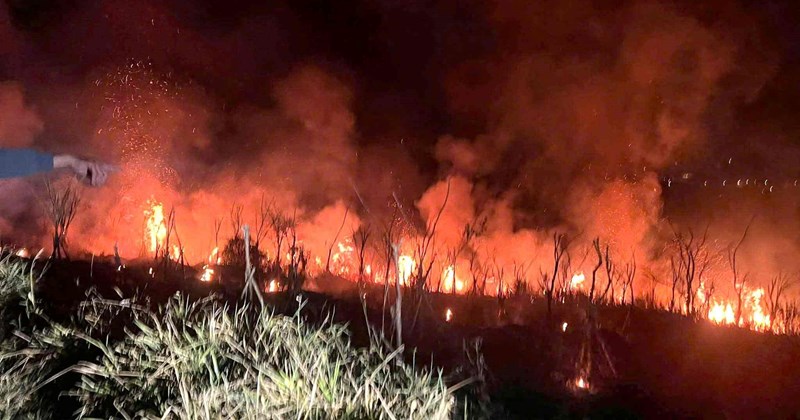 Đà Lạt: Kịp thời khống chế hỏa hoạn tại đồi chè Cầu Đất