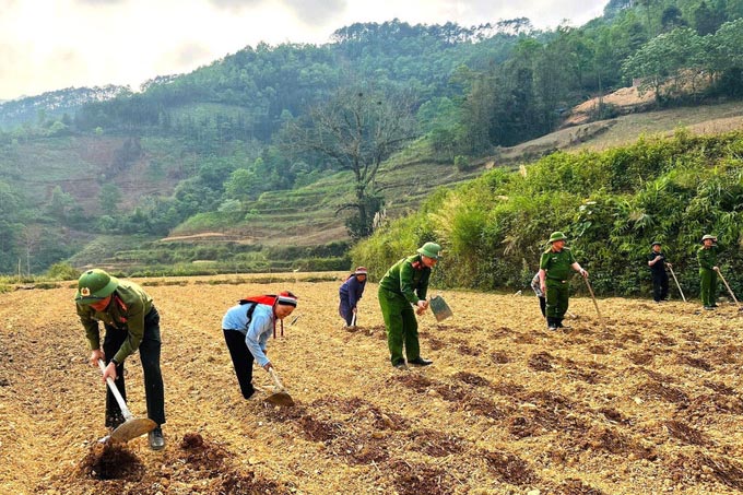 Cadres and soldiers of Can Ty Commune Police and people prepare land and plant sweet potatoes for the new crop. Photo: Minh Tam - Tuan Anh/VNA