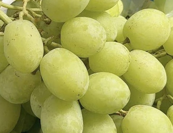 포도로 눈에 좋은 마그네슘을 보충하는 방법은 매우 간단하고 효과적입니다. 사진: 키에우 부