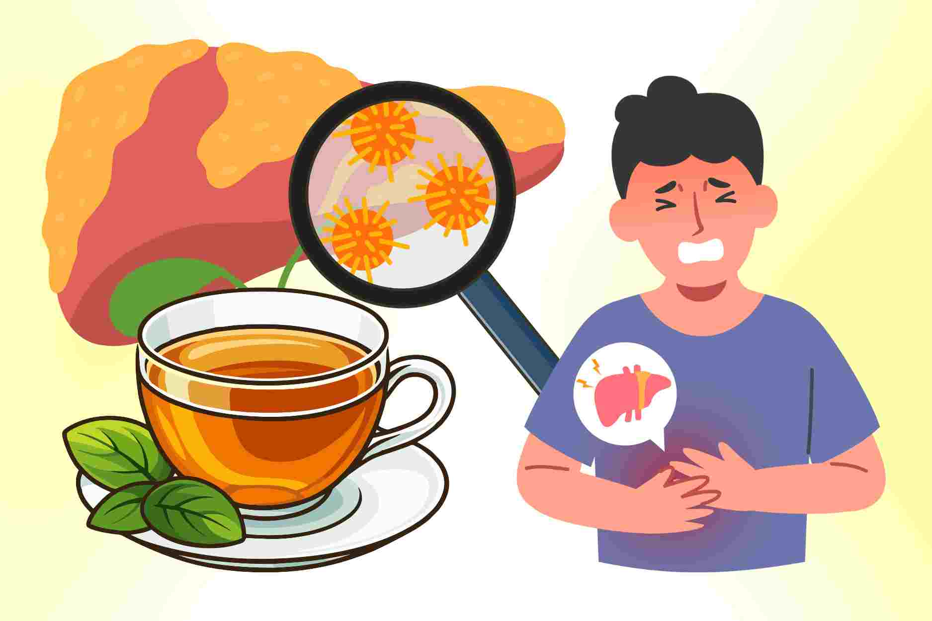 Healthier liver with 4 familiar drinks, supporting liver fat reduction