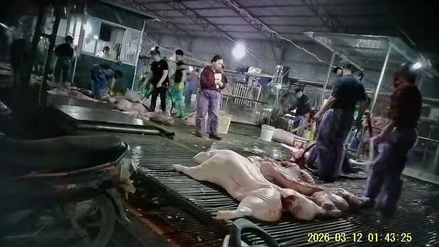 Case of sick pork entering the kitchen, police continue to verify whether or not there is collusion for consumption