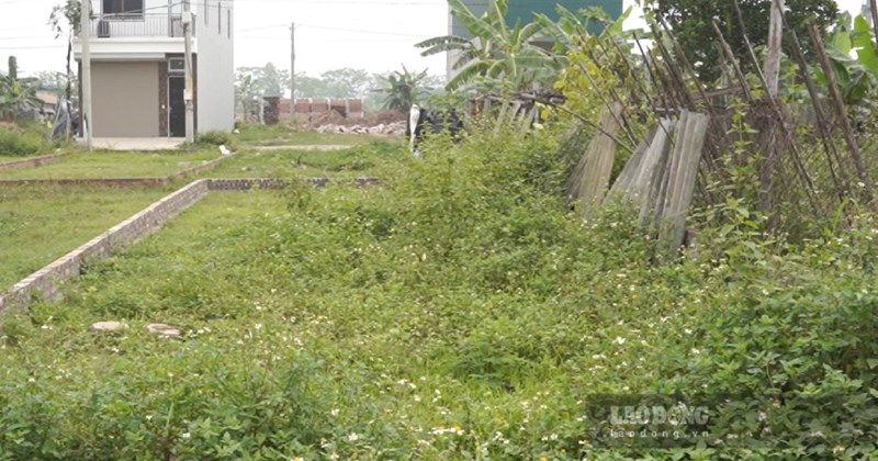 Đồng Nai: Dân muốn chuyển đổi đất ở, giáp đường thành đất ở