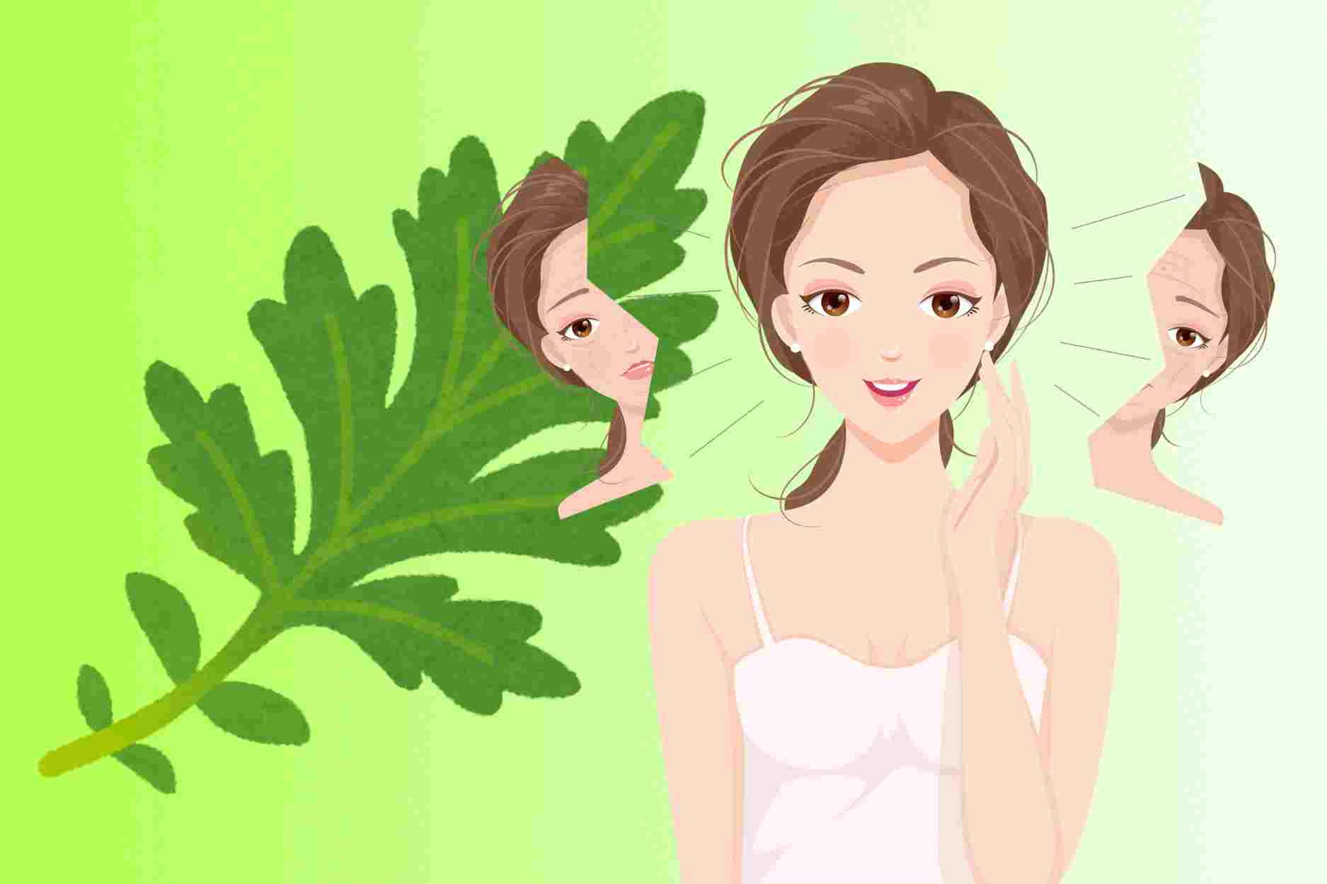 Important notes when using mugwort for skin care