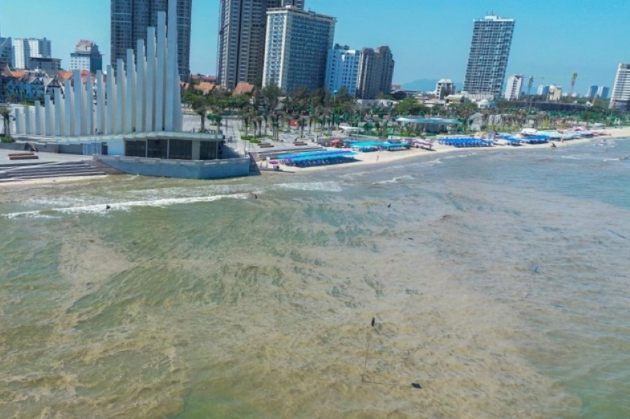 Functional units organized sampling when Vung Tau beach showed signs of greening, accompanied by scum and foam. Photo: Khoa Nguyen