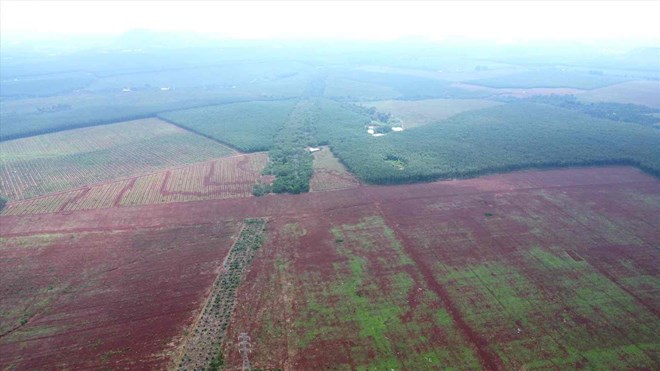 Cụm công nghiệp Long Giao gần sân bay Long Thành. Ảnh tư liệu: HAC