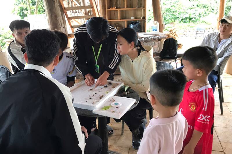 Students experience at "From Farm to Cup" of K Coffee Mountain Hill, Mat village, Chieng Mung commune. Photo: Truong Son