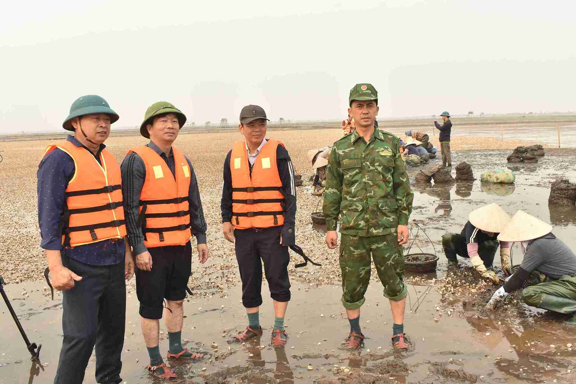 Lãnh đạo xã Nam Cường trực tiếp có mặt tại bãi triều để kiểm tra thực tế tình trạng ngao chết. Ảnh: Hà Hương