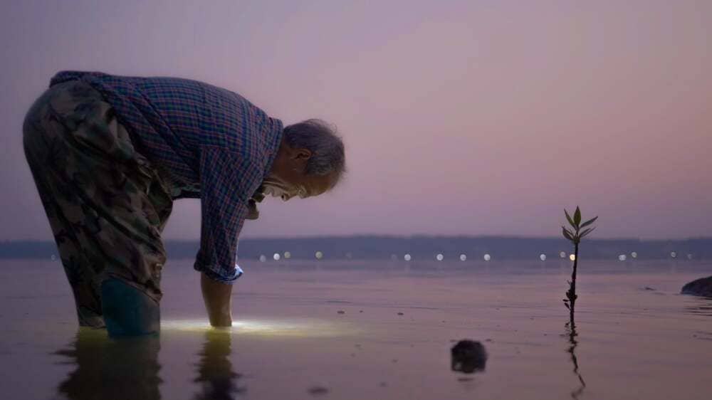 Dự án “Đầm Phá Tam Giang/ Pha Tam Giang Lagoon” của Phan Thị Huỳnh Nhi và Đào Hoàng Duy. Ảnh: Nhân vật cung cấp