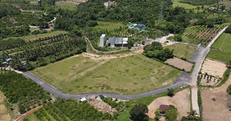 Bộ Nông nghiệp và Môi trường phản hồi về điều kiện đấu giá đất