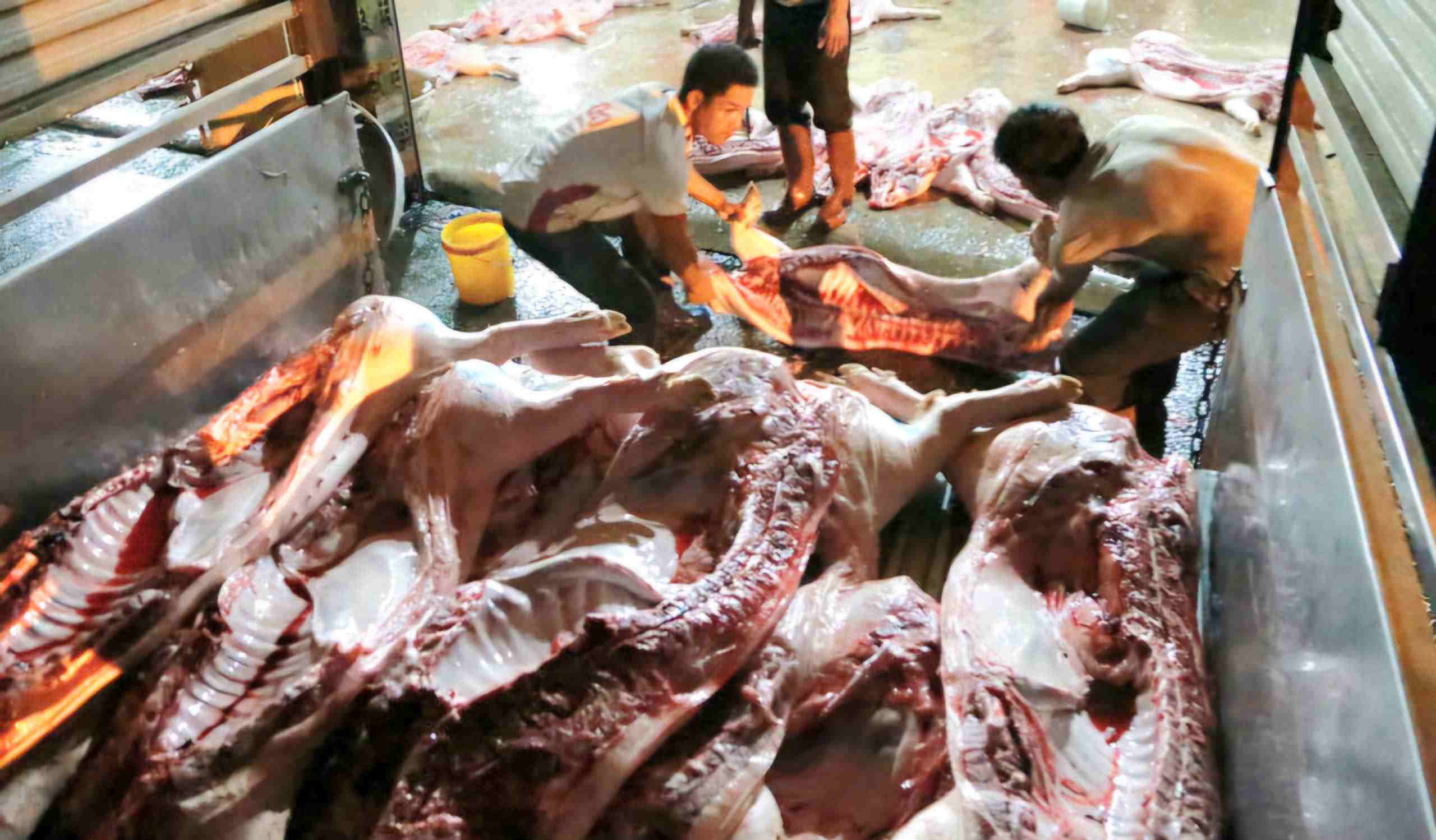 Các vi phạm liên quan đến công tác giất mổ