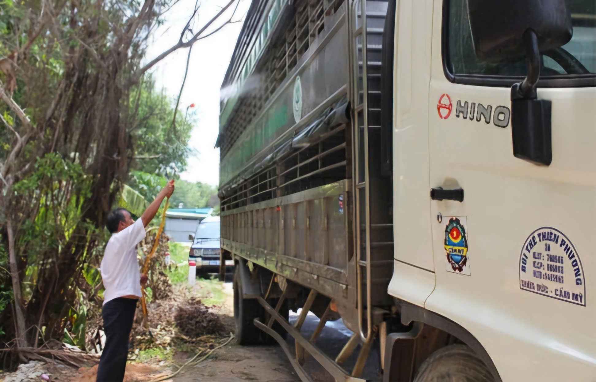 Công tác kiểm dịch đóng vai trò đặc biệt quan trọng trong công tác phòng chống dịch bệnh. Ảnh: Phúc Khánh 