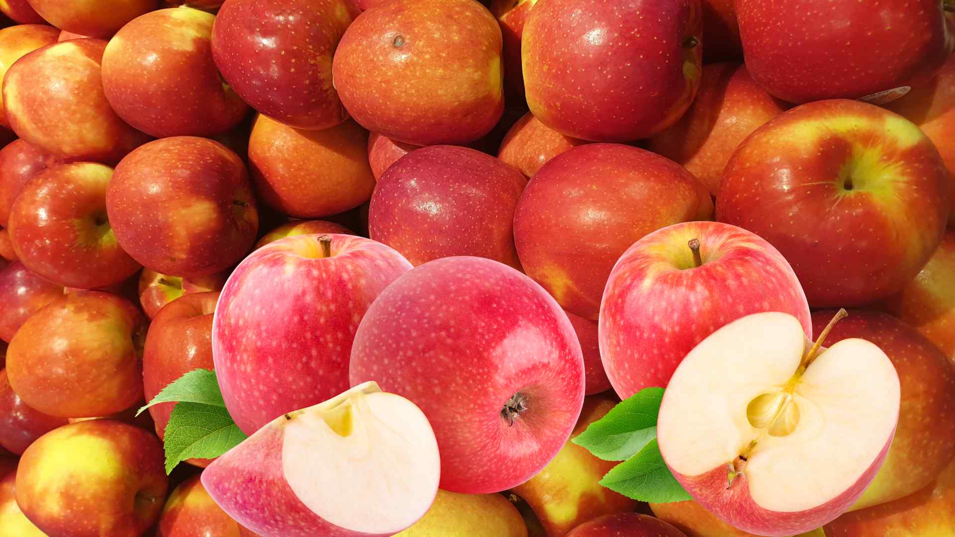Eating apples properly helps detoxify the liver and improve digestion. Graphic photo: Huong Son