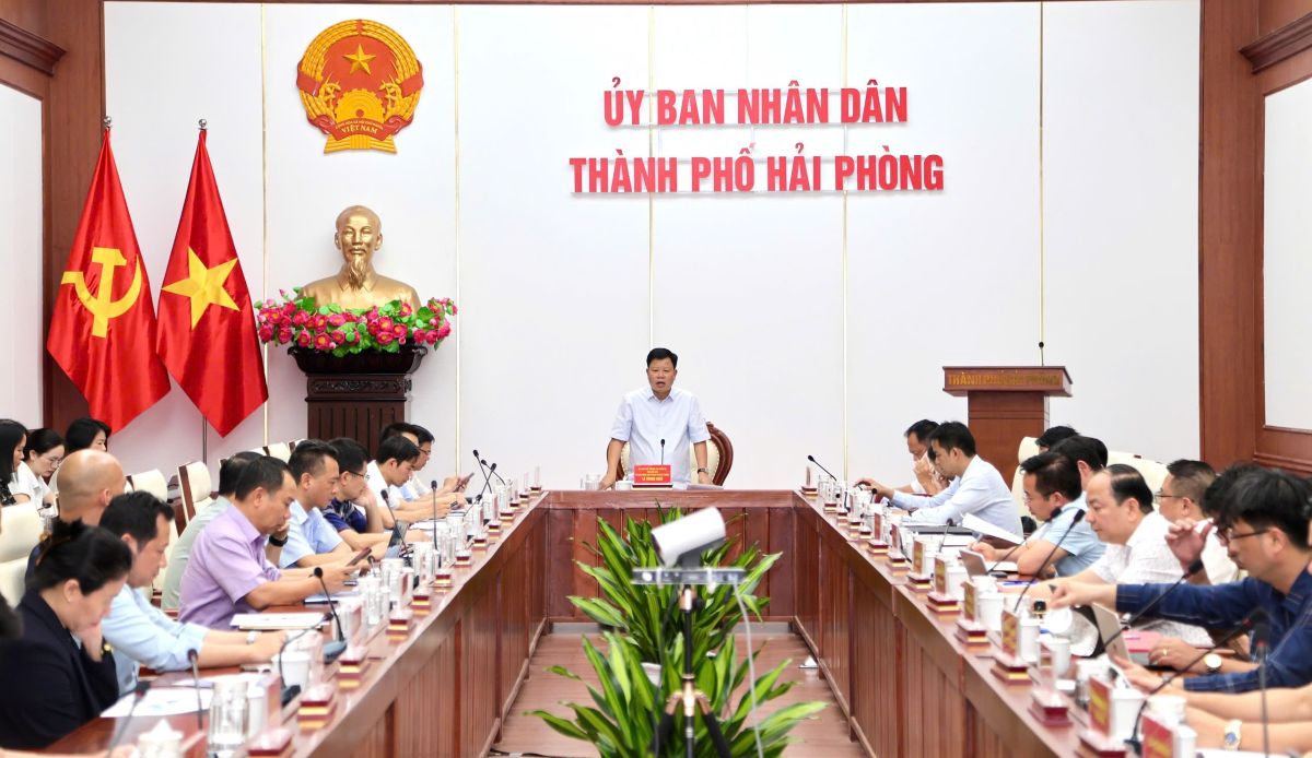 Vice Chairman of the City People's Committee directs to focus on accelerating the progress of site clearance for key industrial park and cluster projects. Photo: Hai Phong e-Portal