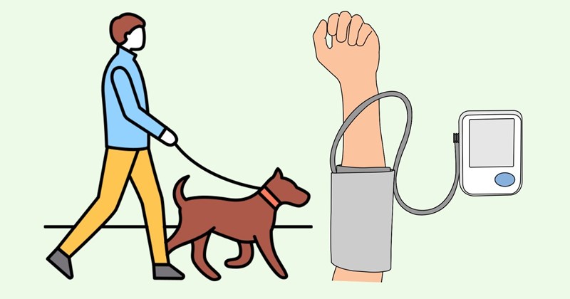 Đi bộ vào ban ngày giúp kiểm soát huyết áp tốt hơn