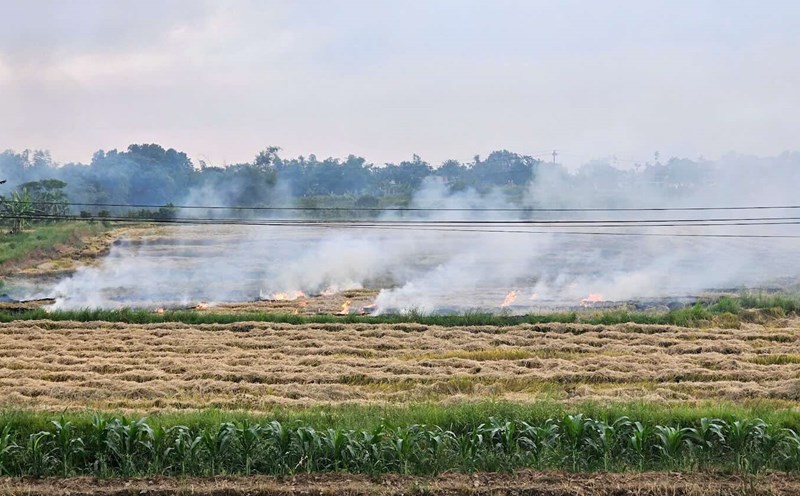 New technology applications help early warn of pollution and natural disaster risks