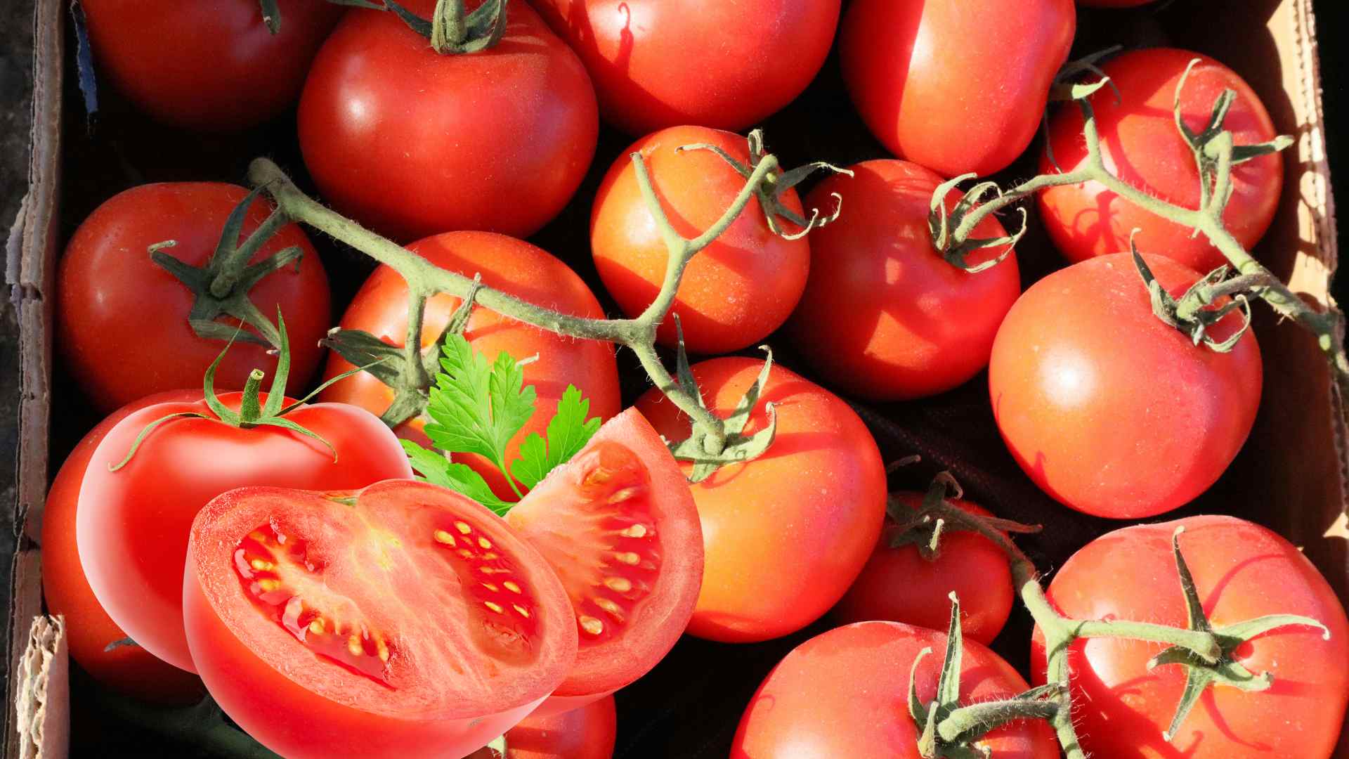 Tomatoes can help control uric acid if used properly. Graphic photo: Huong Son