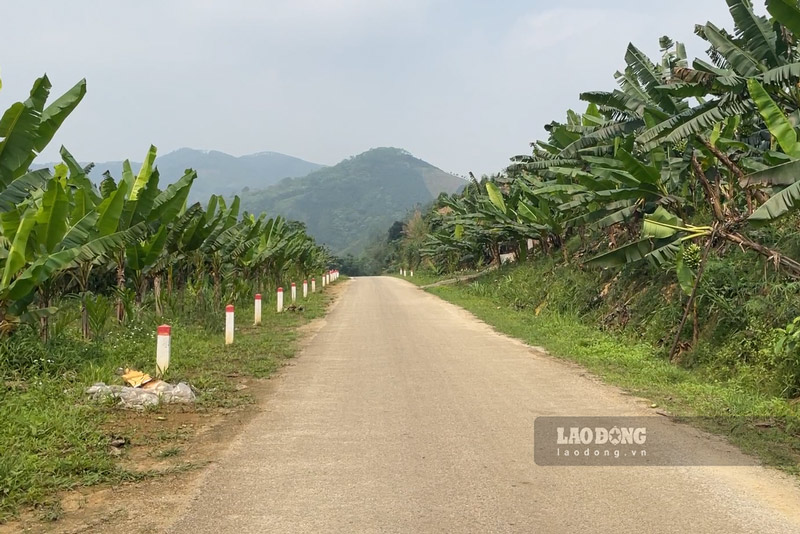 Nhà cửa của người dân khang trang hơn khi có đường mới. Ảnh: Đinh Đại