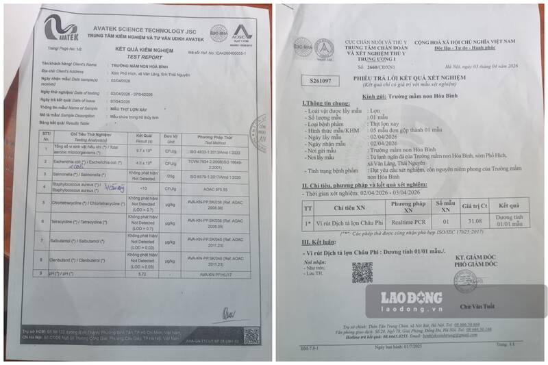 Kết quả mẫu thịt lợn nhiễm bệnh tại Trường mầm non Hòa Bình. Ảnh: Việt Bắc
