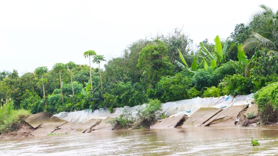 Disaster scene of riverbank erosion in Quoi Thien commune. Photo: Hoang Loc