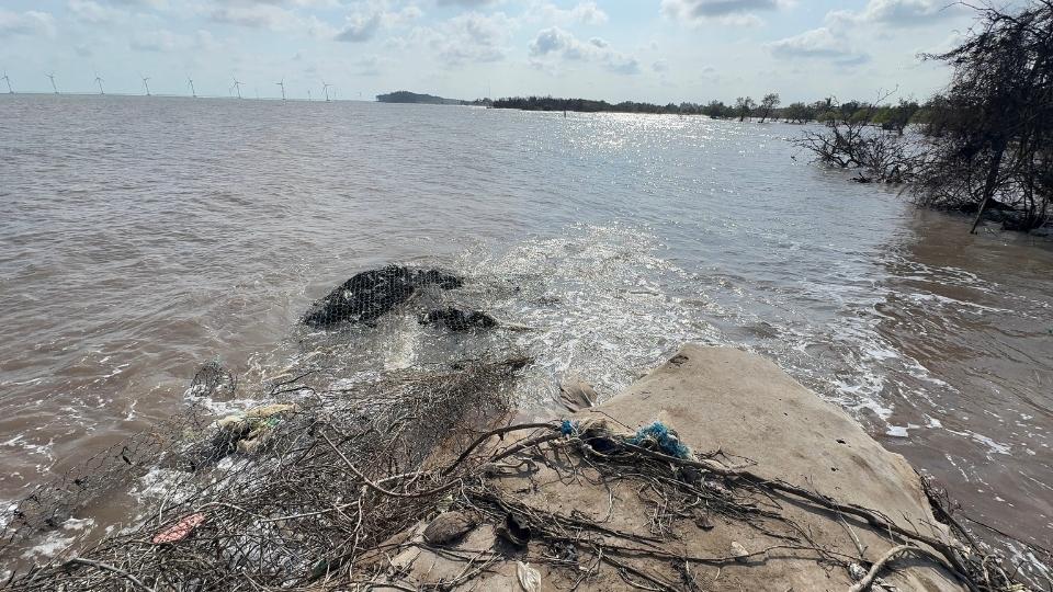 Khu vực sạt lở tại bờ biển xã Đông Hải gây ảnh hưởng đến nhà ở và giao thông. Ảnh: Hoàng Lộc