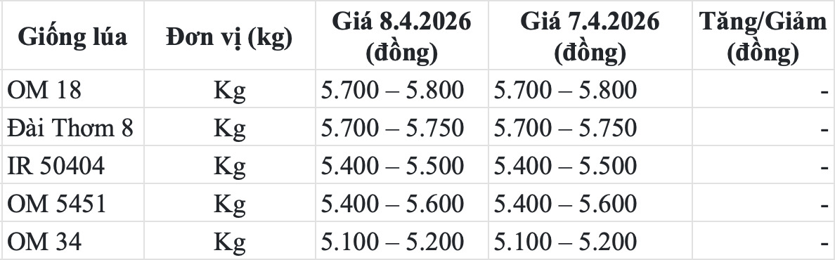 Giá lúa trong nước hôm nay 8.4. Bảng: Song Anh