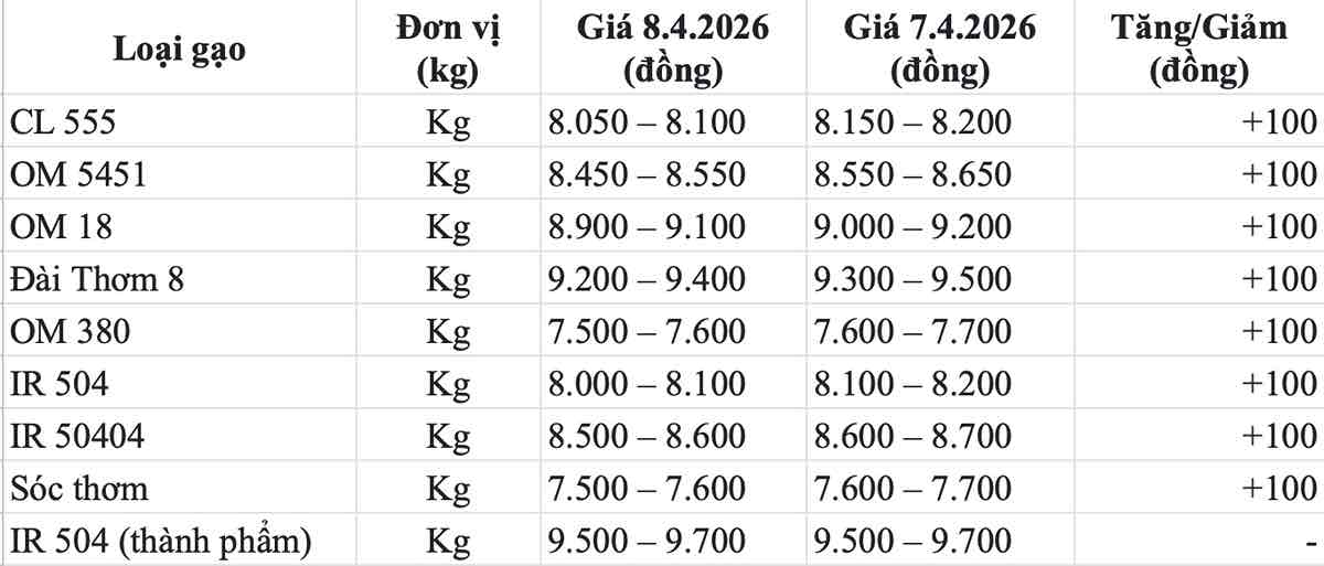 Giá gạo trong nước hôm nay 8.4. Bảng: Song Anh