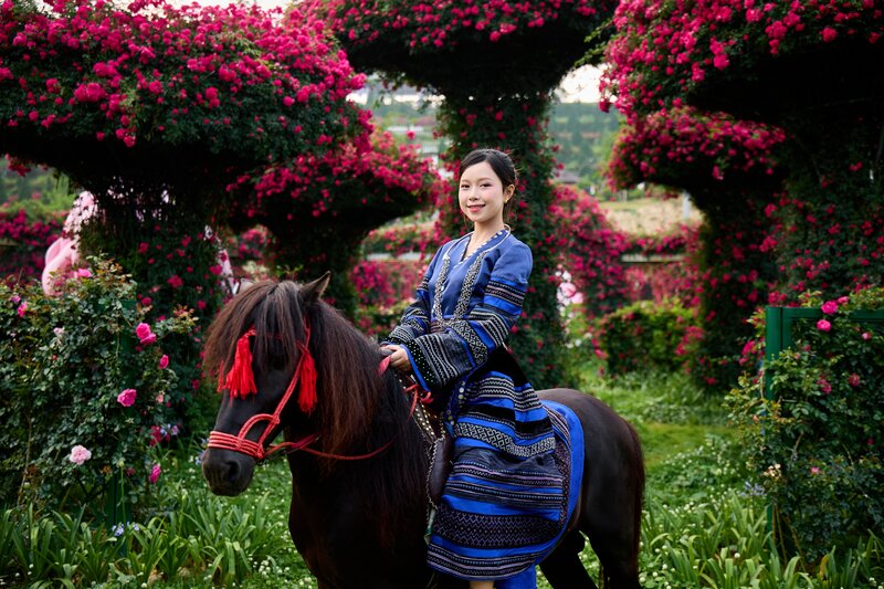 Check-in bên những tiểu cảnh hoa hồng khổng lồ tại Lễ hội. Ảnh: Thanh Sơn