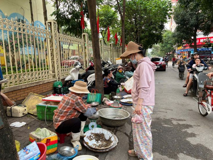 Spontaneous market in Bau village, Thien Loc commune near Thang Long Industrial Park. Photo: Minh Huong