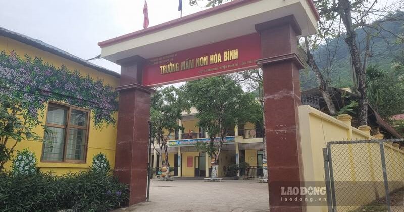 Thái Nguyên phạt 22,5 triệu đồng cơ sở cung cấp thịt lợn bệnh