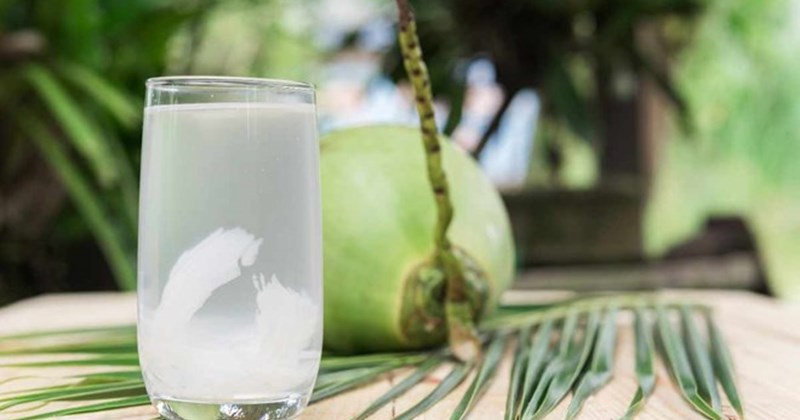 Sự thật về việc uống nước dừa thay vì nước lọc