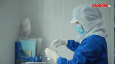 Tecnología estratégica: Ir desde un "gran problema" para crear un crecimiento sustancial