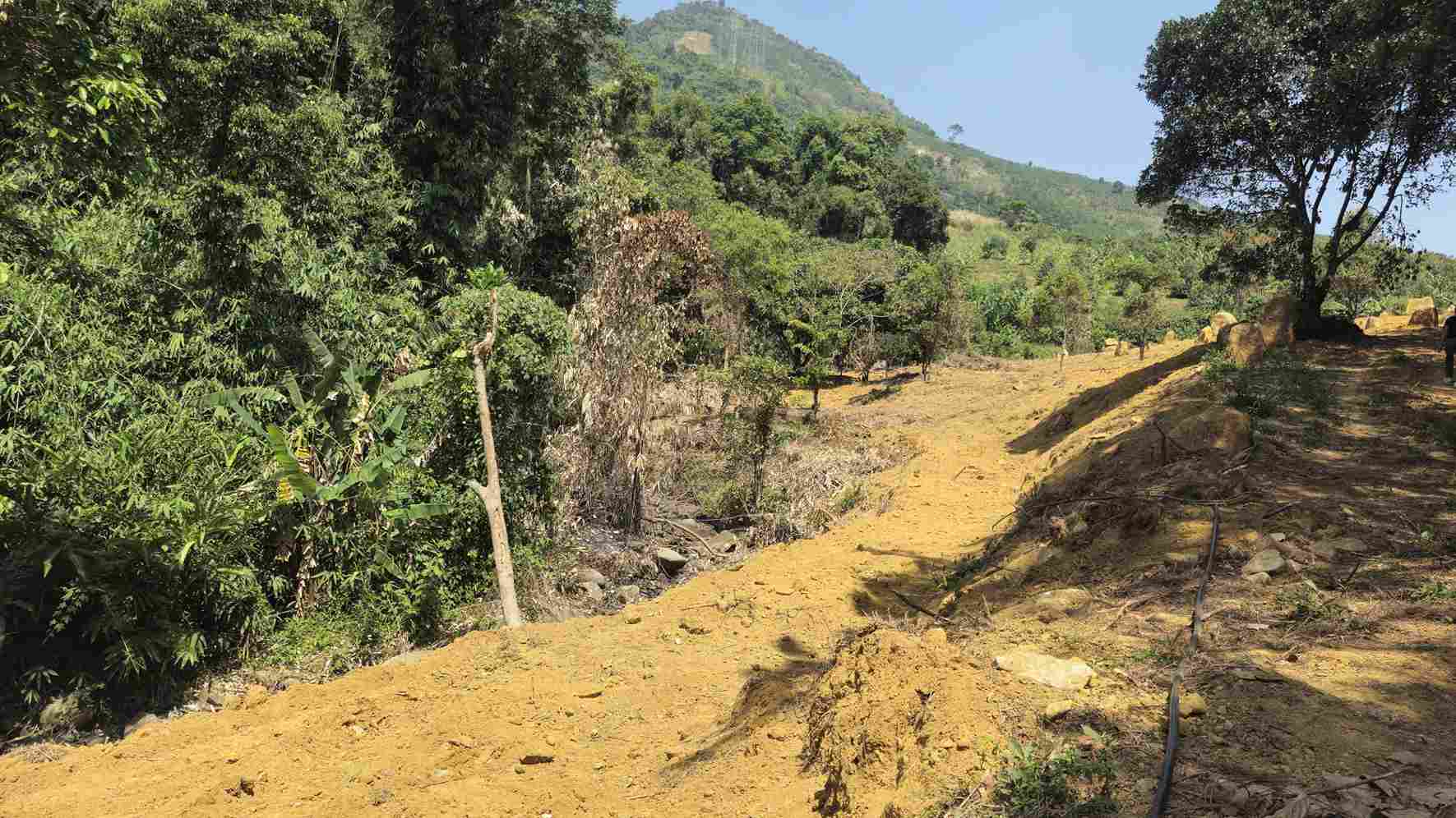Suối tự nhiên trên đèo Bảo Lộc bị tác động nghiêm trọng do hoạt động san gạt, đào múc. Ảnh: Phúc Khánh 