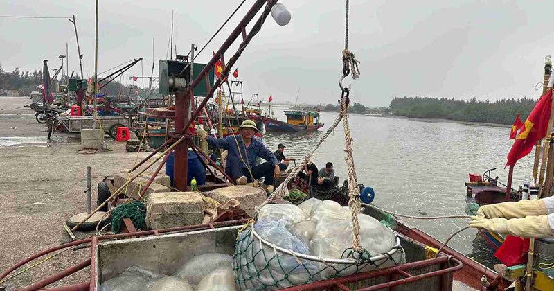 Ngư dân Tiền Hải vào mùa thu hoạch sứa biển