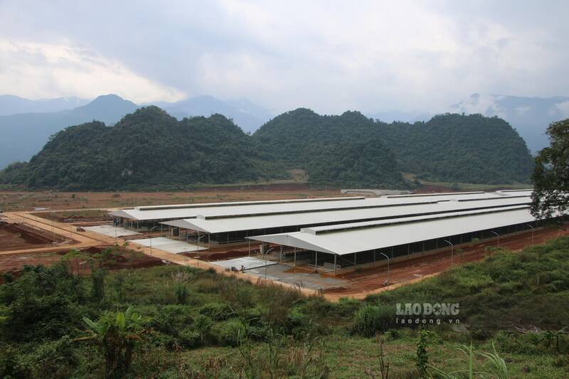 Le projet de ferme laitière de haute technologie dans la province de Tuyen Quang, après près de 10 ans de mise en œuvre, n'a toujours pas pu fonctionner. Photo: Viet Bac.