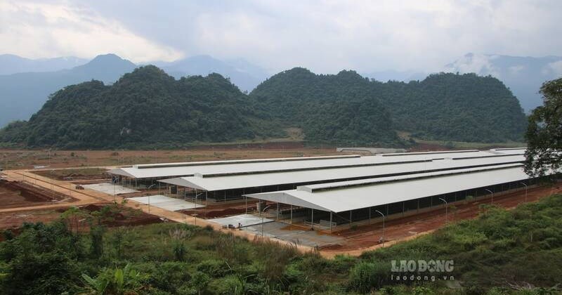 Tuyên Quang: Dự án trang trại bò sữa bị thu hồi nếu chậm tiến độ
