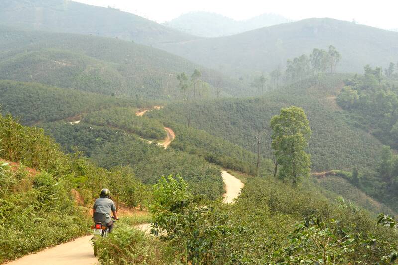 Khu vực cà phê bản Sàng Nà Tre, xã Chiềng Mai, tỉnh Sơn La mùa nắng nóng, khô hạn. Ảnh: Trường Sơn