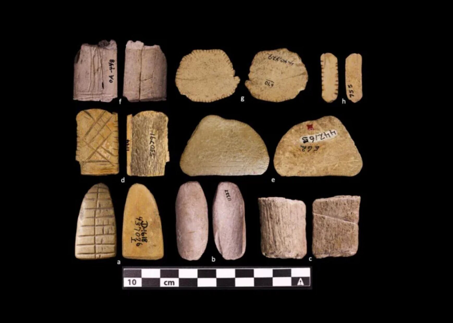 Some of the oldest known dice samples of Native Americans. Among them, samples E and G were found at the Lindenmeier site in northern Colorado. Photo: Colorado State University