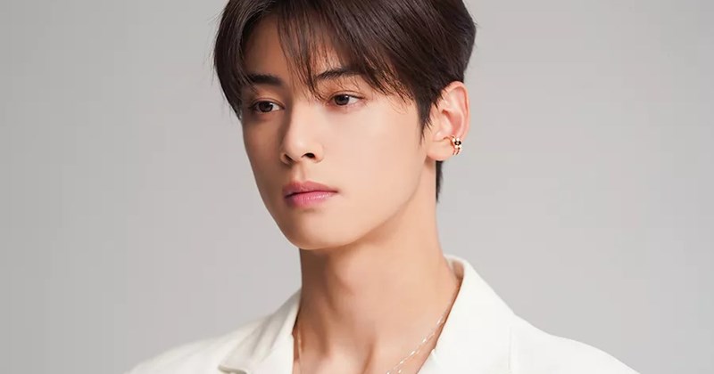 Thông tin về thuế của Cha Eun Woo: Không phải 20 tỷ won