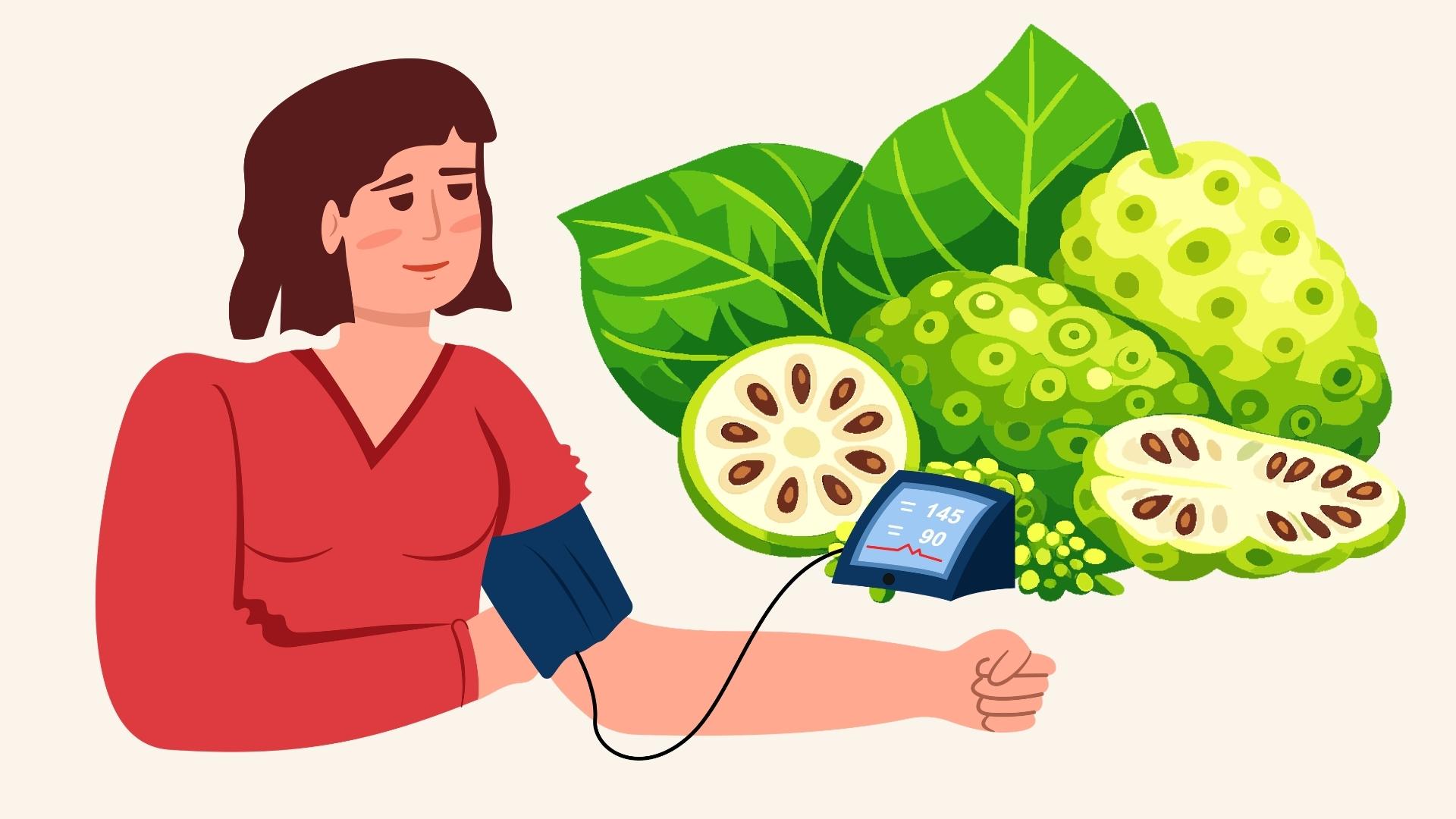 Noni root - natural nemesis of high blood pressure. Graphics: Linh Dan