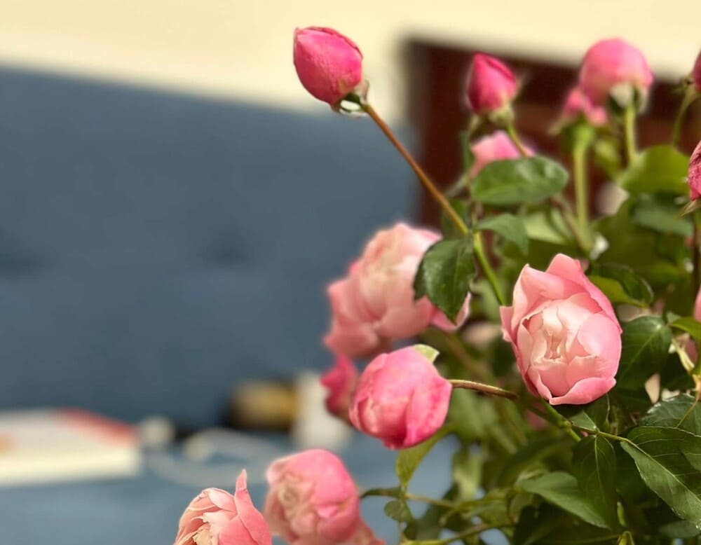 Decorating with fresh flowers is one of the simple ways to help the home space always be comfortable and fragrant. Photo: Khanh Linh