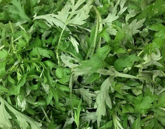 Mugwort is a herb vegetable that helps eliminate uric acid. Photo: Kieu Vu.