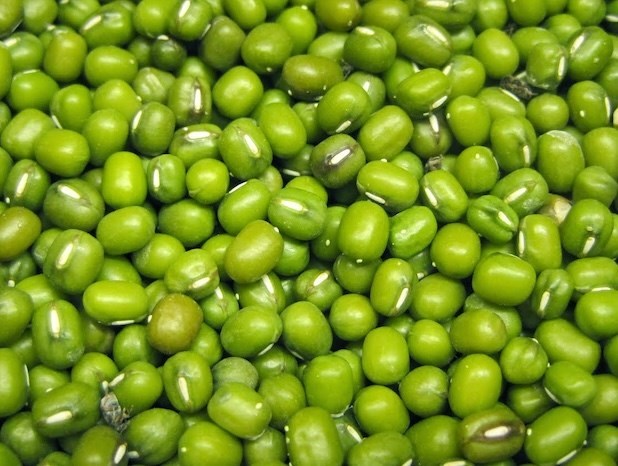 Green beans contain many nutrients that help support body detoxification and effectively cool down. Photo: Kieu Vu