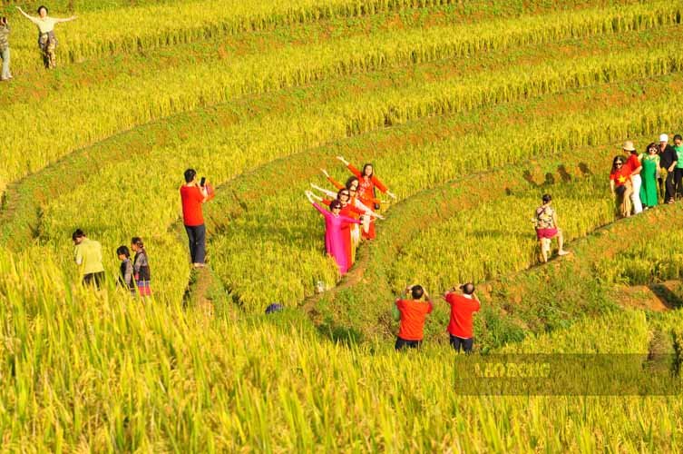 Hoặc đến Mù Cang Chải để ngắm khung cảnh thiên nhiên hùng vĩ. Ảnh: Đinh Đại