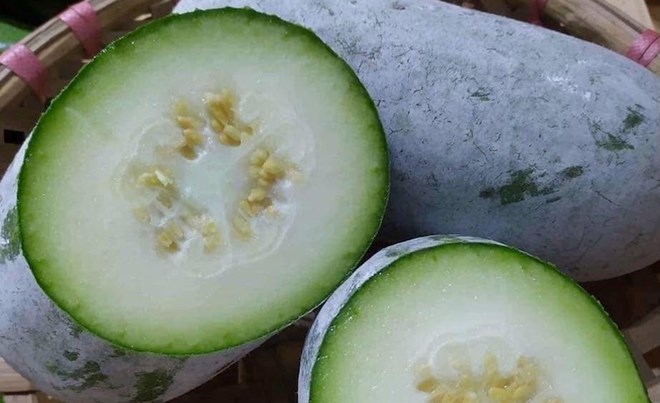 La courge cireuse aide non seulement à rafraîchir la chaleur, mais est également considérée par les experts comme bénéfique pour améliorer la fonction rénale. Photo: Kiều Vũ